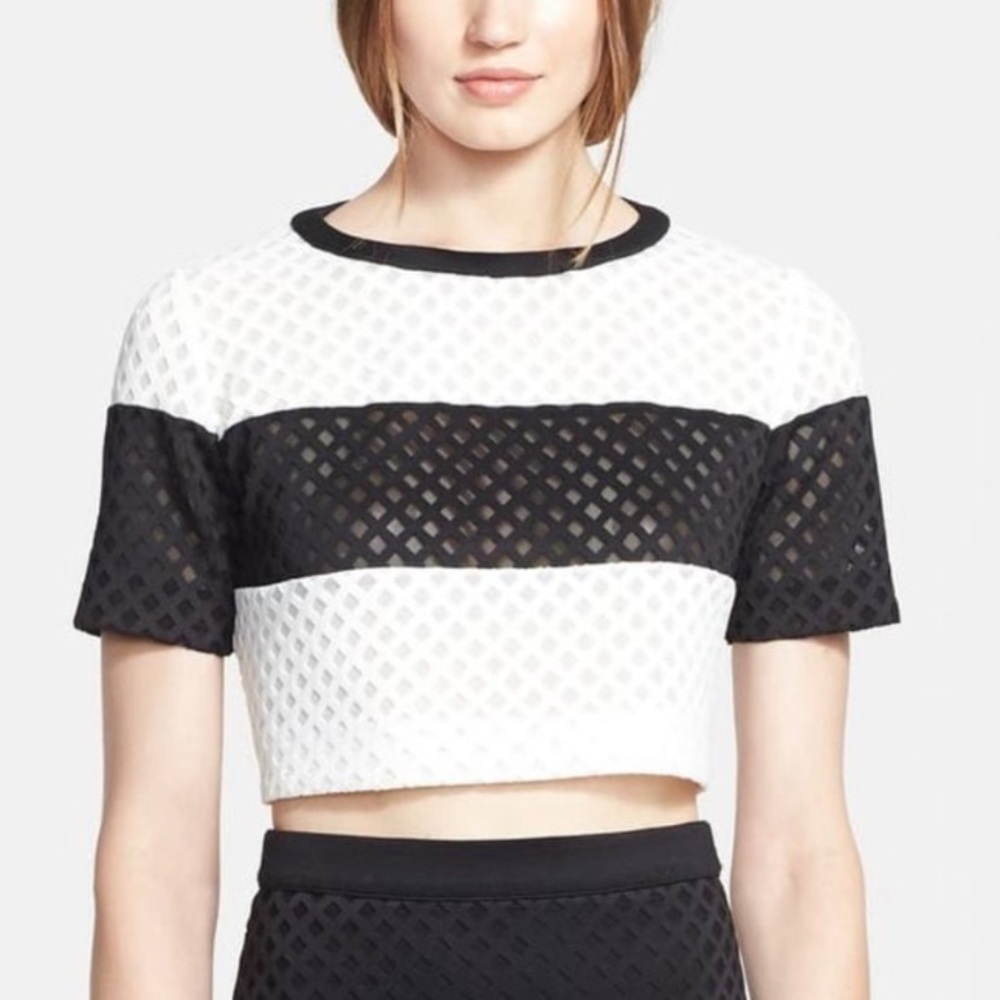 NWT Elizabeth and James Leda Lattice Laser Cut Mesh Crop Top L
